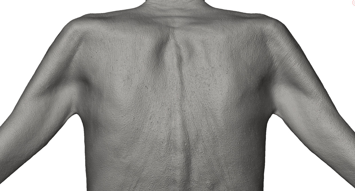 Retopolosied male 3d model for zbrush download